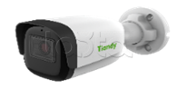 Уличная IP-камера Tiandy TC-C35WS Spec:I5/E/Y/C/H/4mm/V4.0