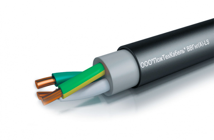 Кабель силовой ВВГнг(А)-LS 2x4 (N,PE)-0,66 ПожТехКабель (428-012)
